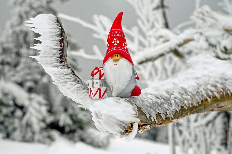 Gnome in a garden